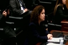 La Abogada Procurador Fiscal de Santiago, Ruth Israel, en la audiencia del 17 de julio pasado